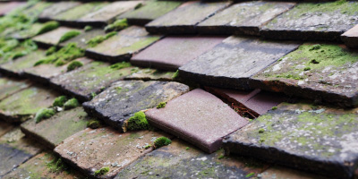 Somersham roof repair costs